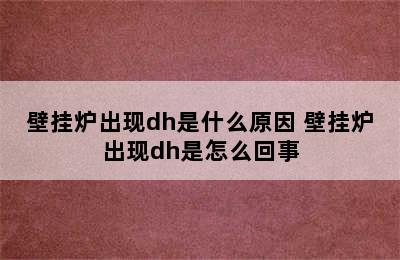 壁挂炉出现dh是什么原因 壁挂炉出现dh是怎么回事